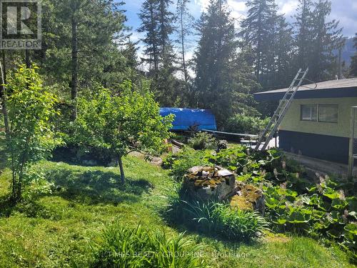 101 Mann Road, Sicamous, BC - Outdoor