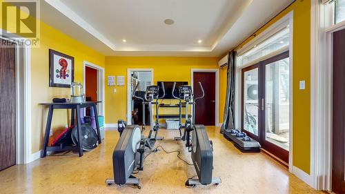 26 Stonebridge Place, St. John'S, NL - Indoor Photo Showing Gym Room