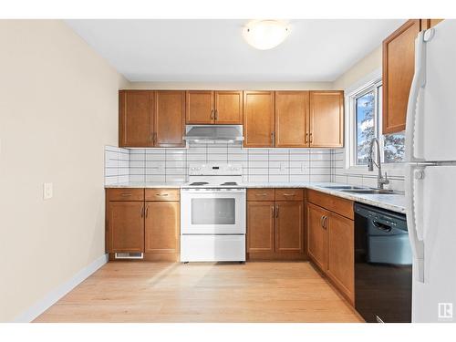 3423 42 St Nw, Edmonton, AB - Indoor Photo Showing Kitchen With Double Sink