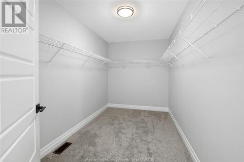 221 Cowan Court, Amherstburg, ON - Indoor With Storage