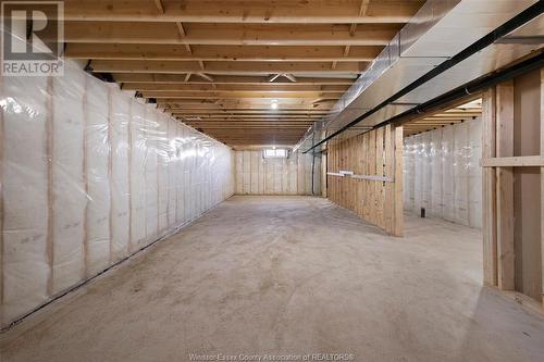 221 Cowan Court, Amherstburg, ON - Indoor Photo Showing Basement