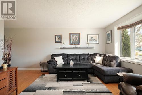 1026 Cumberland Avenue, Peterborough (Northcrest), ON - Indoor Photo Showing Living Room