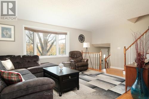 1026 Cumberland Avenue, Peterborough (Northcrest), ON - Indoor Photo Showing Living Room