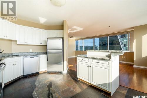 1101 1914 Hamilton Street, Regina, SK - Indoor Photo Showing Kitchen