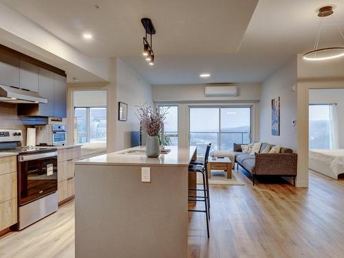 Overall view - 1005-60 Rue Wellington S., Sherbrooke (Les Nations), QC - Indoor Photo Showing Kitchen