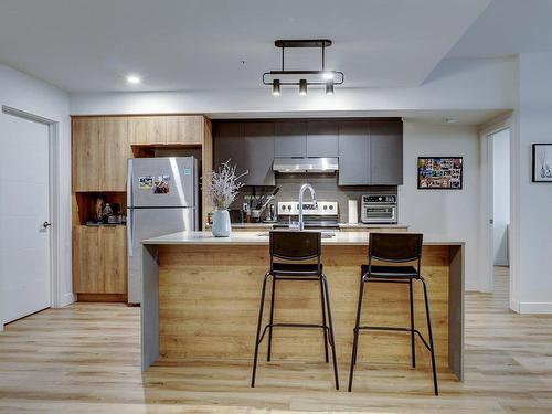 Kitchen - 1005-60 Rue Wellington S., Sherbrooke (Les Nations), QC - Indoor Photo Showing Kitchen