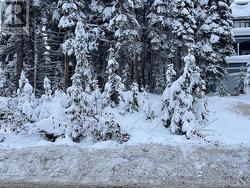 555 Monashee Road  Silver Star, BC V1B 3M1