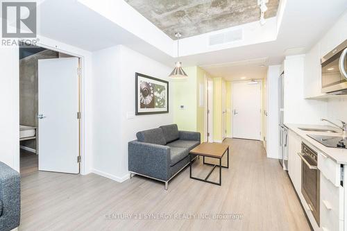 1102 - 105 Champagne Avenue S, Ottawa, ON - Indoor Photo Showing Kitchen