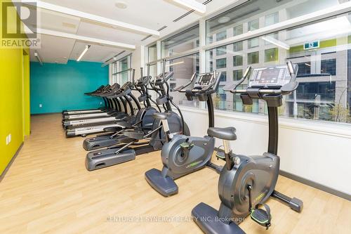 1102 - 105 Champagne Avenue S, Ottawa, ON - Indoor Photo Showing Gym Room