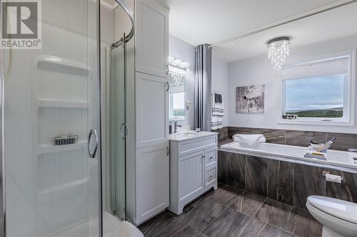 3 Lundrigans Road, Peters River, NL - Indoor Photo Showing Bathroom