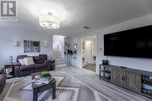 3 Lundrigans Road, Peters River, NL - Indoor Photo Showing Living Room