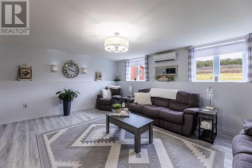 3 Lundrigans Road, Peters River, NL - Indoor Photo Showing Living Room