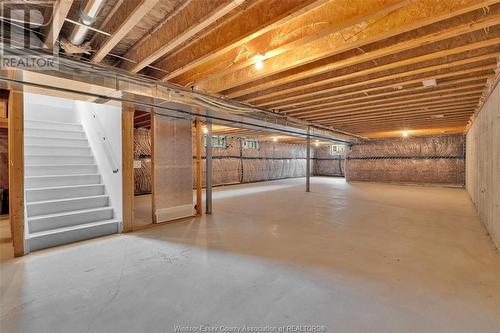 612 Lily Mac Boulevard, Windsor, ON - Indoor Photo Showing Basement