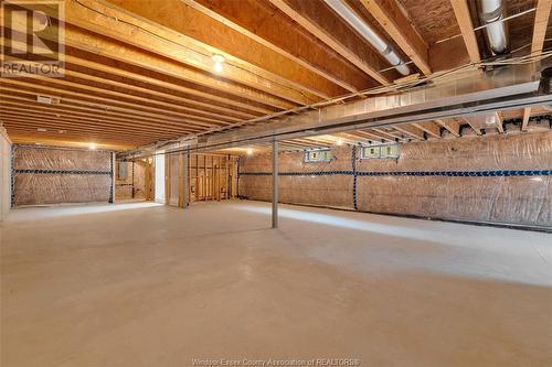 612 Lily Mac Boulevard, Windsor, ON - Indoor Photo Showing Basement