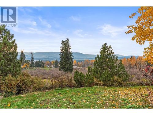 View from the deck - 3298 Upper Mcleod Road, Armstrong, BC - Outdoor With View