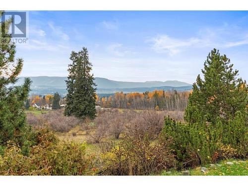 View from the deck - 3298 Upper Mcleod Road, Armstrong, BC - Outdoor With View