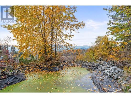 3298 Upper Mcleod Road, Armstrong, BC - Outdoor With View