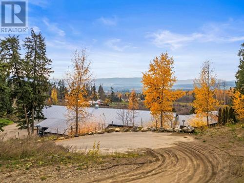 3298 Upper Mcleod Road, Armstrong, BC - Outdoor With View