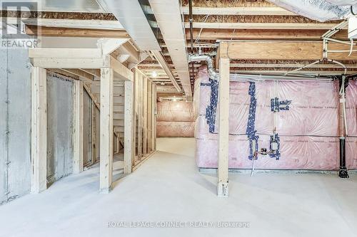 2088 Cayenne Street, Oshawa, ON - Indoor Photo Showing Basement