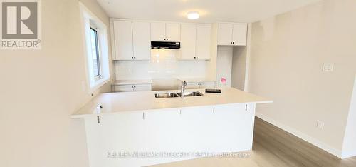 602 Parnian Private, Ottawa, ON - Indoor Photo Showing Kitchen With Double Sink