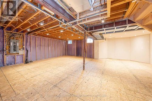 10 Orchid Avenue, Halton Hills, ON - Indoor Photo Showing Basement