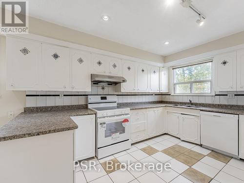 408 Horsham Avenue, Toronto, ON - Indoor Photo Showing Kitchen With Double Sink