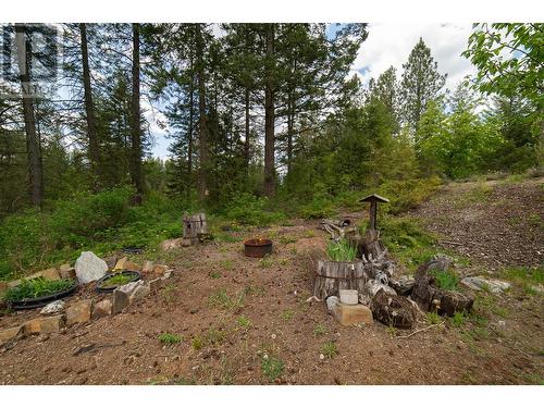 Path from back yard to hosue - 552 Wellspring Road, Creston, BC - Outdoor