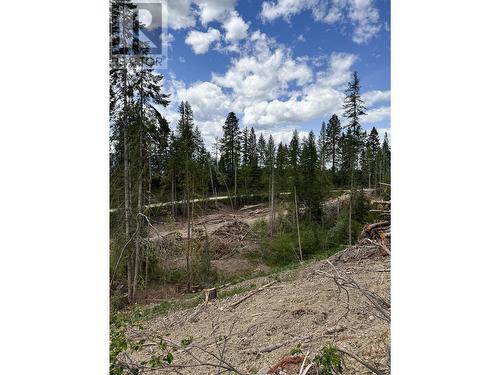 Partially cleared area across road - 552 Wellspring Road, Creston, BC - Outdoor With View