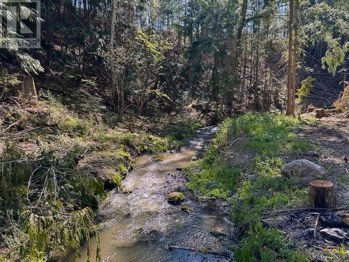 Year round creek running through - 552 Wellspring Road, Creston, BC - Outdoor With View