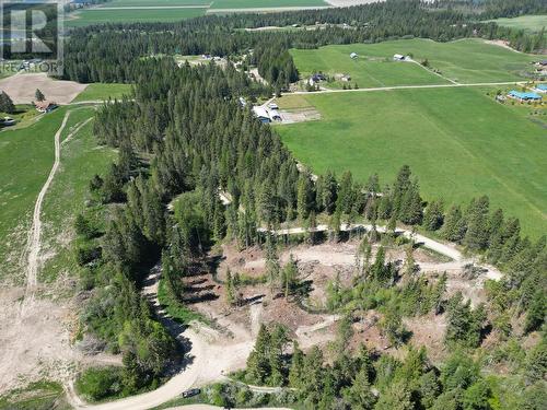 Partially cleared area across road - 552 Wellspring Road, Creston, BC - Outdoor With View