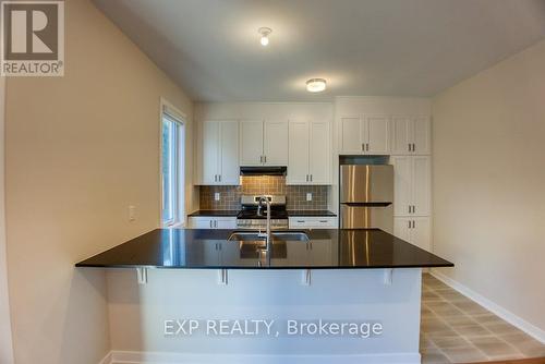 505 Marcato Lane, Ottawa, ON - Indoor Photo Showing Kitchen With Double Sink