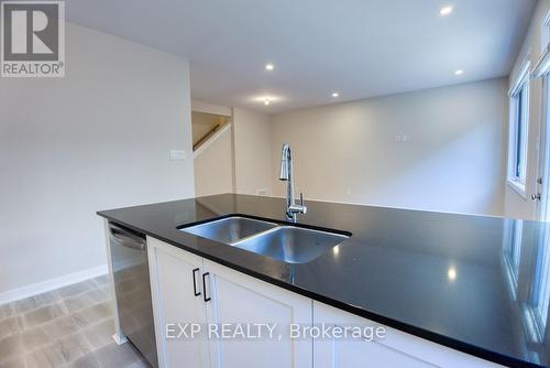 505 Marcato Lane, Ottawa, ON - Indoor Photo Showing Kitchen With Double Sink