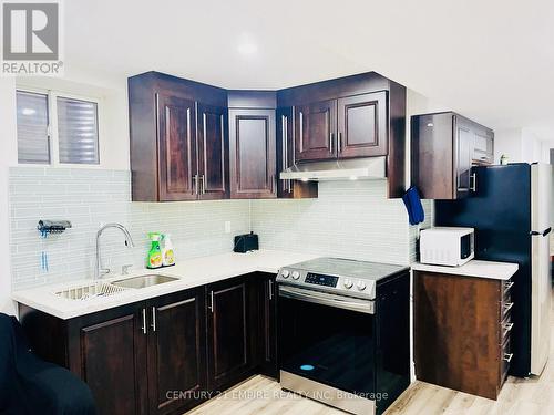 Bsmt - 162 Decker Hollow Circle, Brampton, ON - Indoor Photo Showing Kitchen With Double Sink With Upgraded Kitchen