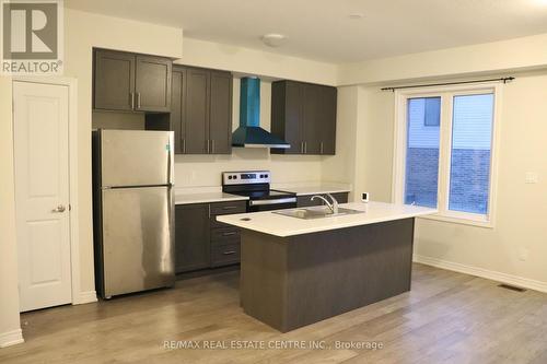 43 Mia Drive, Hamilton, ON - Indoor Photo Showing Kitchen With Stainless Steel Kitchen With Double Sink