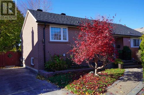 19 Finsbury Drive, Brampton, ON - Outdoor