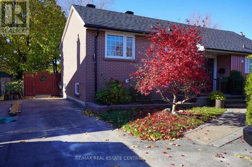 19 Finsbury Drive, Brampton, ON - Outdoor