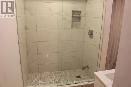 250 Nashville Circle, Hamilton, ON - Indoor Photo Showing Bathroom