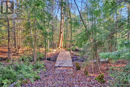 7634 Langstaff Road, Clarington, ON - Outdoor With View