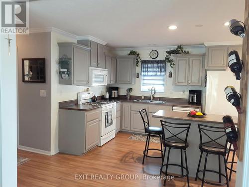 #7-152 Concession Rd 11 W, Trent Hills, ON - Indoor Photo Showing Kitchen With Double Sink