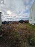 178 Belmont Street, Saint John, NB  - Outdoor With View 