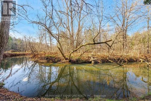 12664 Mill Road, King, ON - Outdoor With View