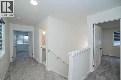 Corridor featuring plenty of natural light and light colored carpet - 182 Byers Street, London, ON - Indoor Photo Showing Other Room