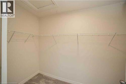 Spacious closet featuring carpet floors - 182 Byers Street, London, ON - Indoor With Storage