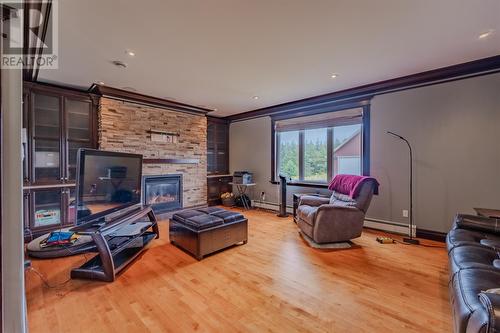 251 Back Line, St. John'S, NL - Indoor Photo Showing Living Room With Fireplace