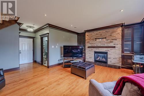 251 Back Line, St. John'S, NL - Indoor Photo Showing Living Room With Fireplace