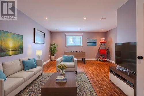 251 Back Line, St. John'S, NL - Indoor Photo Showing Living Room