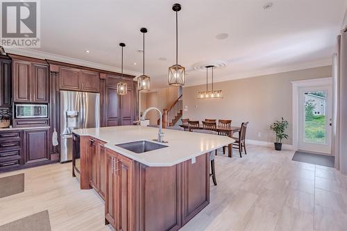 251 Back Line, St. John'S, NL - Indoor Photo Showing Kitchen With Upgraded Kitchen