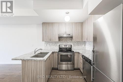 109 - 600 Alex Gardner Circle, Aurora, ON - Indoor Photo Showing Kitchen With Double Sink With Upgraded Kitchen