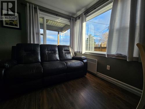 4 Youngs Avenue, Corner Brook, NL - Indoor Photo Showing Living Room