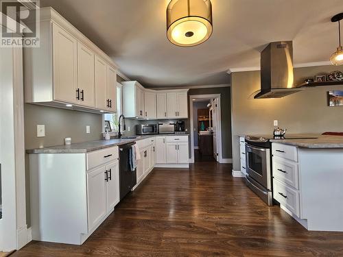 4 Youngs Avenue, Corner Brook, NL - Indoor Photo Showing Kitchen